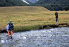 Dingle Burn 101355.jpg